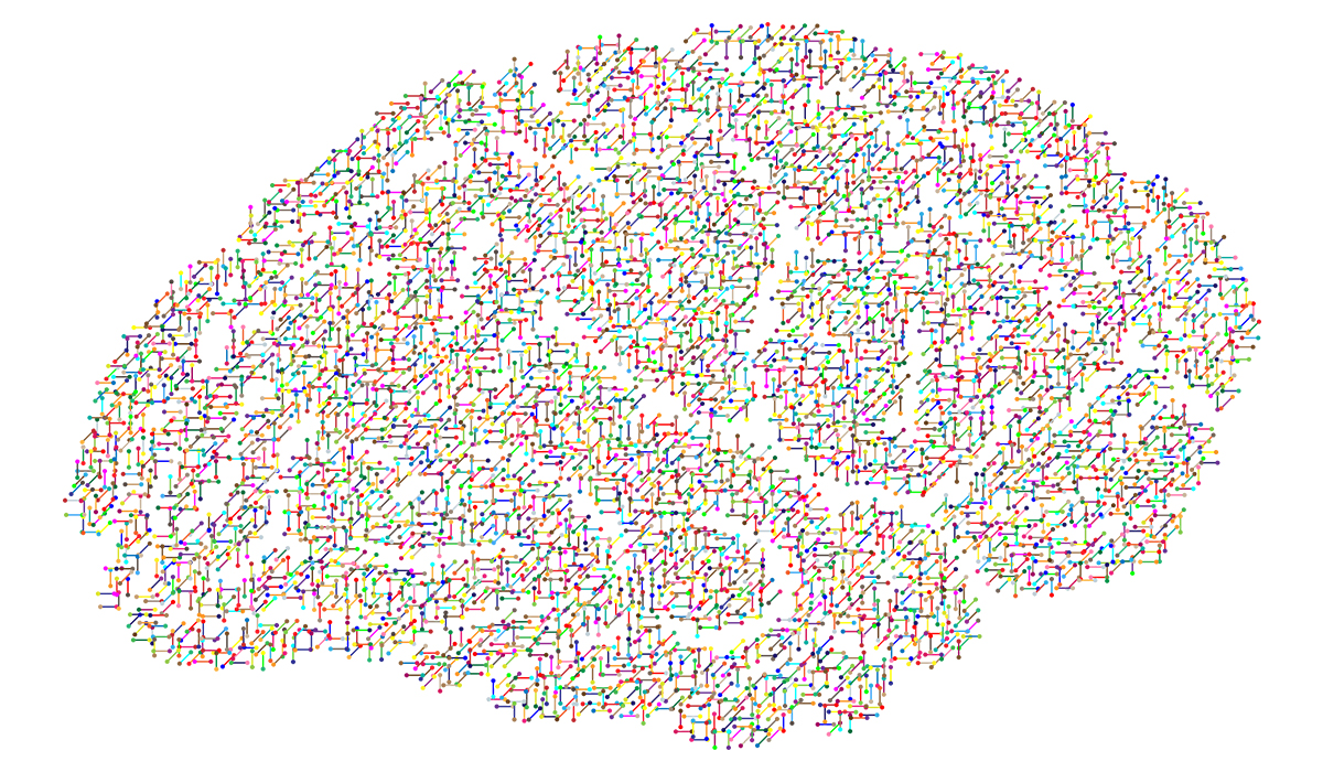 Проект Neuralin объединит мозг человека и искусственный интеллект - AI